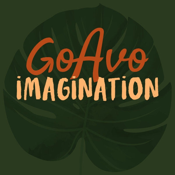 Imagination Instrumental Nouveau Flamenco Guitar Music GoAvo