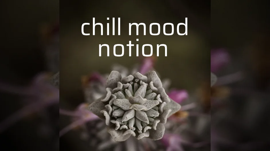 Looking for the perfect instrumental music album to relax and uplift your mood? Chill Mood's Notion features a collection of beautifully crafted tracks that are perfect for unwinding after a long day or simply enjoying a lazy weekend.