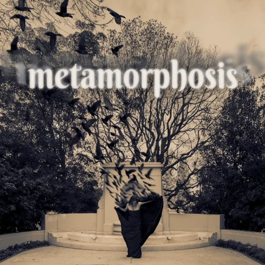 Metamorphosis featured image