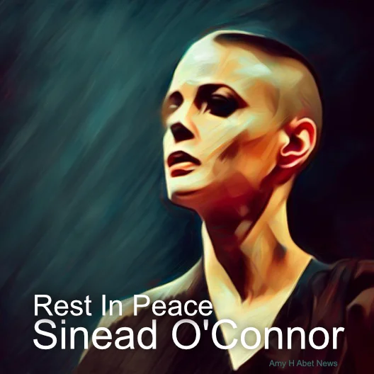 Rest In Peace Sinead O'Connor post